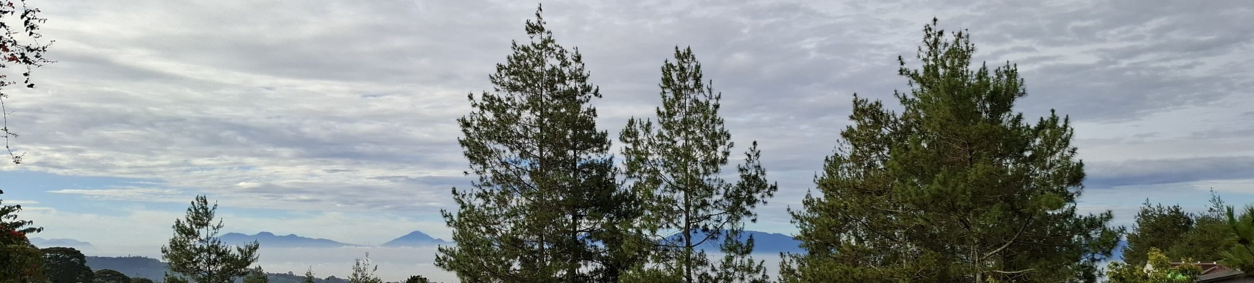 Kalpin Erlangga Silaen – Personal Blog